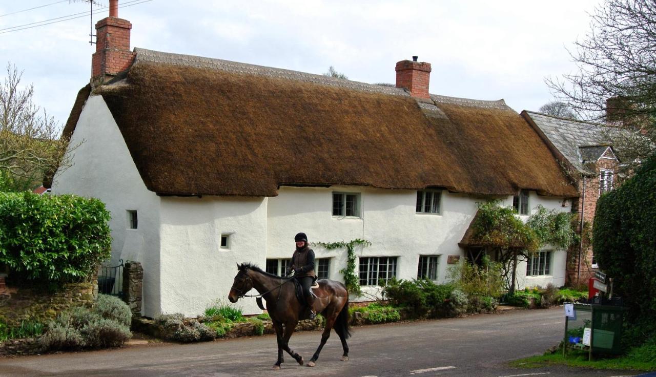 Notley Arms Inn Exmoor National Park Elworthy Екстер'єр фото