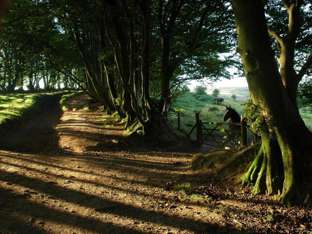 Notley Arms Inn Exmoor National Park Elworthy Екстер'єр фото