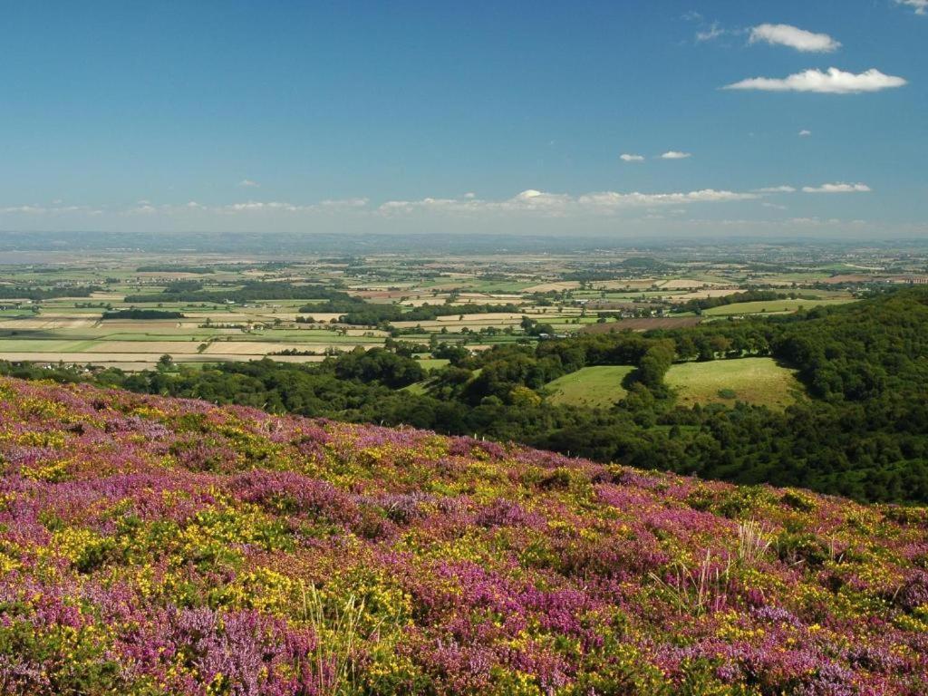 Notley Arms Inn Exmoor National Park Elworthy Екстер'єр фото